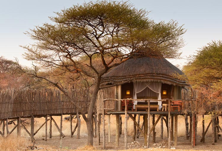 Etosha National Park 6
